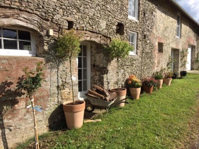 Saint-Georges-D'Aunay Chez Thomas 7 Route Du Monde Ancien Bed & Breakfast エクステリア 写真